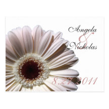 Gerbera Daisy/ Wedding Response Card Post Cards