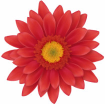 Gerbera Flower Acrylic Cut Outs