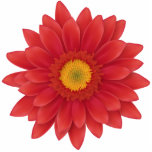 Gerbera Flower photo sculptures