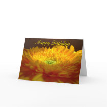 Gerbera Happy Birthday Card