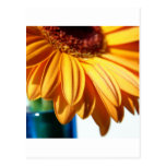 Gerbera in Blue Vase Post Card