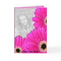 Gerberas Greetings