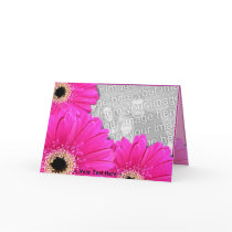 Gerberas Greetings horizontal