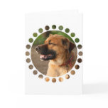 German Akita Greeting Card