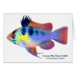 German Blue Ram Dwarf Cichlid Card