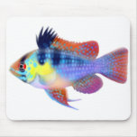 German Blue Ram Dwarf Cichlid Mousepad