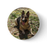german shepard buttons