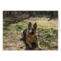 German Shepard Card