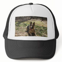 german shepard trucker hat