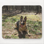 german shepard mousepads