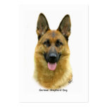 German Shepherd 9B51D-11 business cards