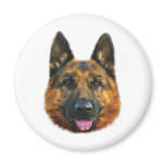 German Shepherd Alsatian K-9 Dog magnets