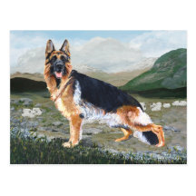 German Shepherd at Work Post Card
