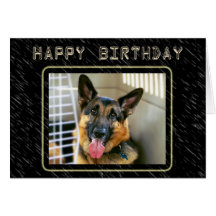 German Shepherd Birthday Card