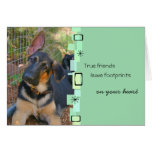 German Shepherd Birthday Greeting Card