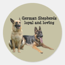 German Shepherd Buddies Sticker