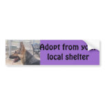 German Shepherd Bumper Sticker bumper stickers