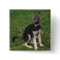 German Shepherd Button