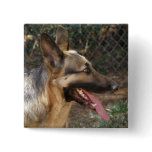 German Shepherd Button