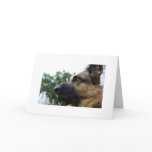 German Shepherd Card