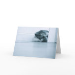 German Shepherd Card