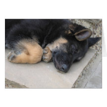 German Shepherd Card