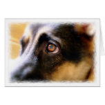 German Shepherd Card