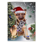 German Shepherd Christmas Lights Cards