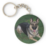 German Shepherd Collection