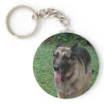 German Shepherd Collection
