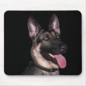 German Shepherd Collection mousepads