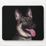 German Shepherd Collection mousepads