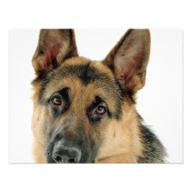 German Shepherd Custom Invite