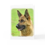 German Shepherd Dog 9B50D-20 cards