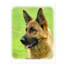 German Shepherd Dog 9B50D-20 Post Card