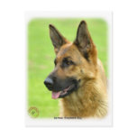 German Shepherd Dog 9B50D-20 postcards