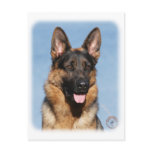 German Shepherd Dog 9Y554D-150 postcards