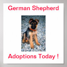 German Shepherd Dog Adoptions Today Sign Poster