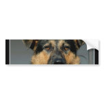 German Shepherd Dog Bumper Sticker bumper stickers