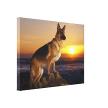 German shepherd dog gallery wrapped canvas
