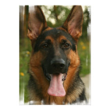 German Shepherd Dog Invitation