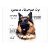 German Shepherd Dog (longhair) History Design Postcards
