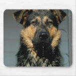 German Shepherd Dog Mouse Pad mousepads