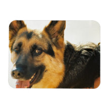 German Shepherd Dog Photo Premium Magnet