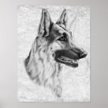 German Shepherd Dog Print