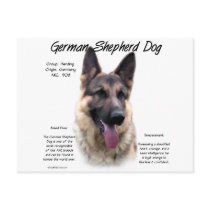 German Shepherd Dog (sable) History Design