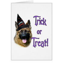 German Shepherd Dog (sable) Trick