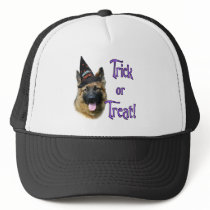 German Shepherd Dog (sable) Trick
