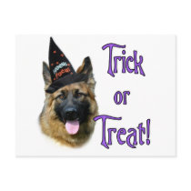 German Shepherd Dog (sable) Trick