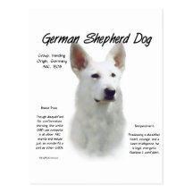 German Shepherd Dog (wht) History Design Post Card